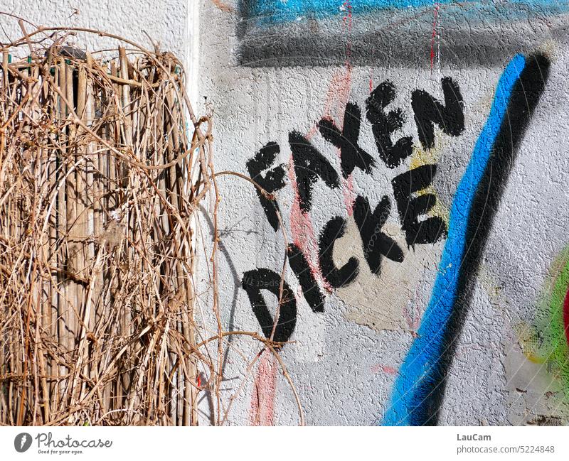 Faxen Dicke - endlich Wochenende Faxen dicke es reicht genug haben gestresst erholungsbedürftig Graffiti Worte Aussage Statement durch sein fertig überdrüssig