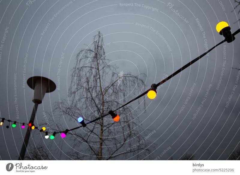 leuchtende Lichterkette in der Abenddämmerung mit Straßenlampe und Birke mehrfarbig Partybeleuchtung dekoration in einer reihe Beleuchtung bunt Feste & Feiern