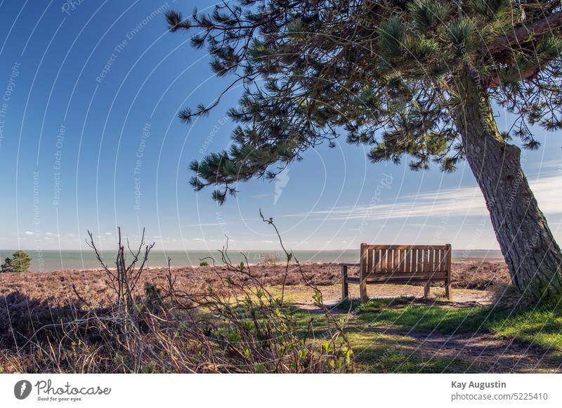 schattiger Platz mit Aussicht Aussicht genießen Ausssicht Weitblick Wattenmeer Heidelandschaft Nationalpark Nationalpark Wattenmeer Insel Sylt Kiefer Sitzbank