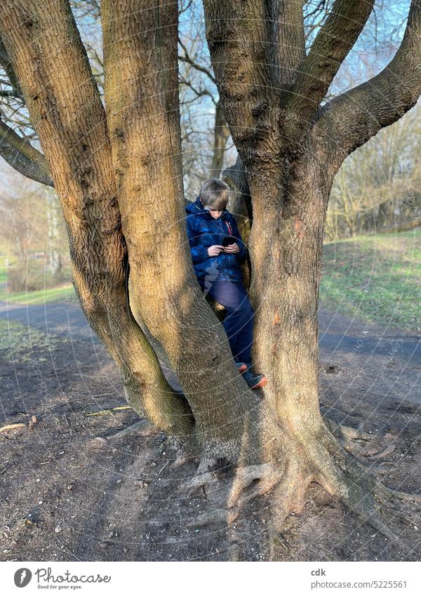 Kindheit & Jugend | Junge, zurückgezogen, mit Smartphone im Baum | Umgang mit Medien. Jugendlicher Teenager jung draußen Handy spielen Kommunizieren