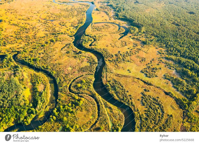 Luftaufnahme Grüner Wald Wälder und Flusslandschaft in sonnigen Sommertag. Top View of Beautiful European Nature From High Attitude In Summer Season. Drone Ansicht. Vogelperspektive Ansicht