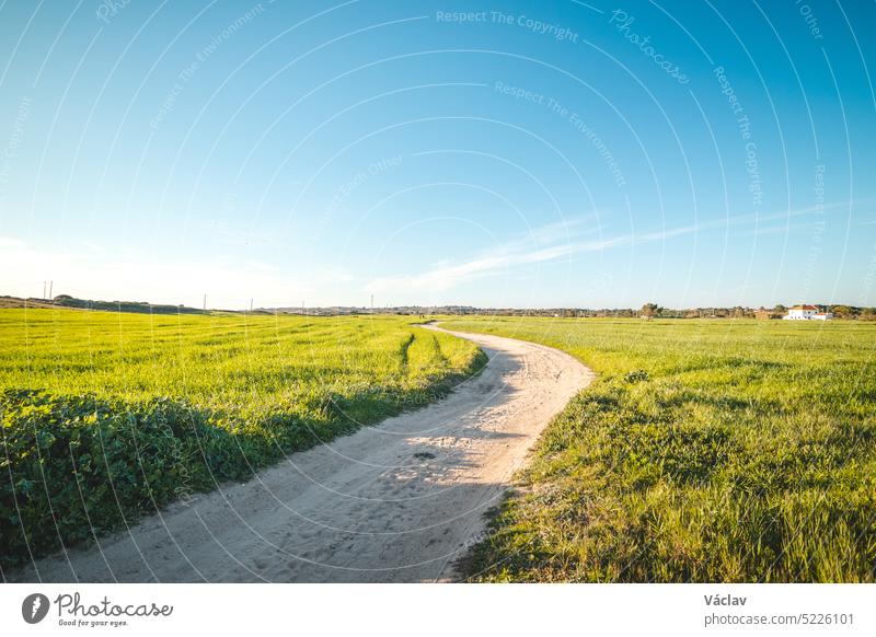 Spaziergang entlang der Rota Vicentina, durch üppige Frühlingswiesen und grüne Weiden, Vila Nova de Milfontes, Odemira, Portugal. Fischerpfad Wiese friedlich