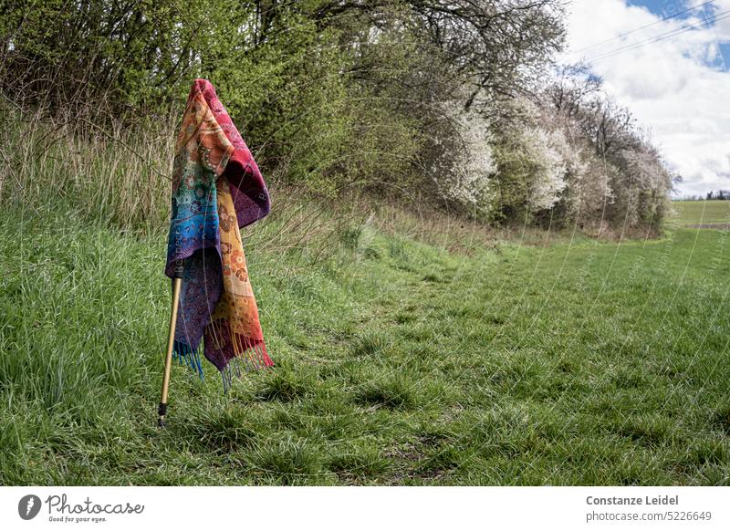 Bunter Schal hängt über Wanderstock am Weg durch eine Wiese. Außenaufnahme Farbfoto Pause Idylle Lebensfreude natürlich Glück Erholung Landschaft Sommer