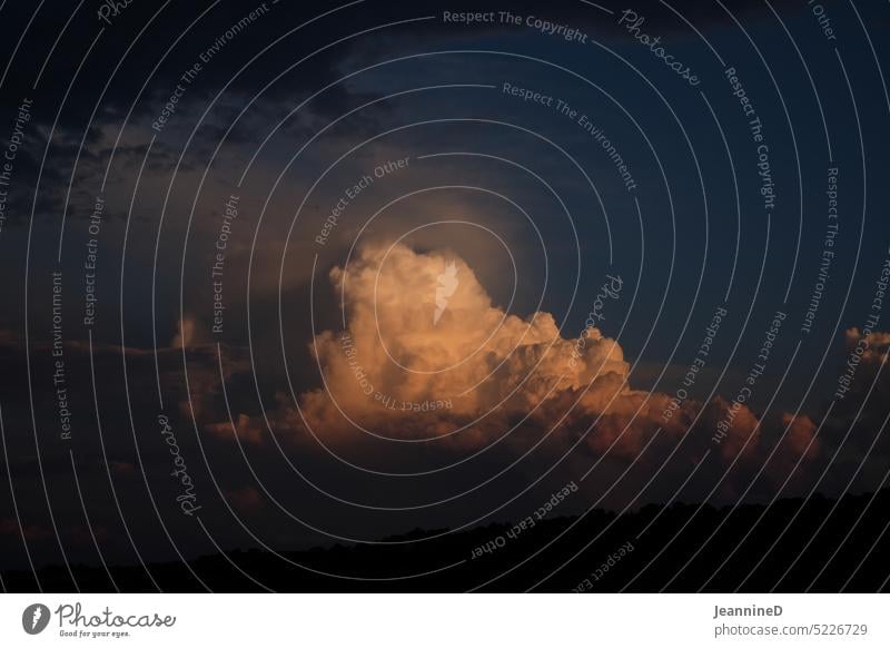 Wolkenbild Himmel Sommer Tag Wetter Natur träumen göttlich himmlisch Umwelt schön schöpfer Meditation überirdisch verbunden Klima Schönes Wetter weite Freiheit