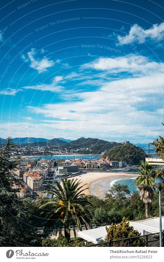 Strand mit Palmen und Hügel im Hintergrund vor blauem Himmel Meer Wasser Sommer Natur Bucht donostia san sebastian Spanien San Sebastián Baskenland Landschaft