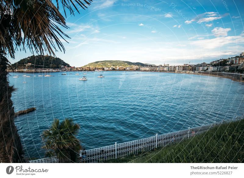 Strand mit Palmen und Hügel im Hintergrund vor blauem Himmel Meer Wasser Sommer Natur Bucht donostia san sebastian Spanien San Sebastián Baskenland Landschaft