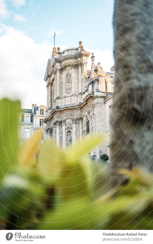 Kirche mit Baum im Vordergrund bordeaux Frankreich touristisch städtetrip Park Gebäude Tourismus Europa reisen historisch Französisch blau braun Stimmung