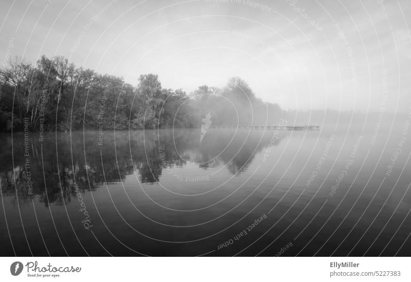 Steg am See im Nebel. Neblige Landschaft am Morgen. Morgendämmerung ruhig Wasser Natur Seeufer Außenaufnahme Herbst Umwelt Stimmung Idylle Licht