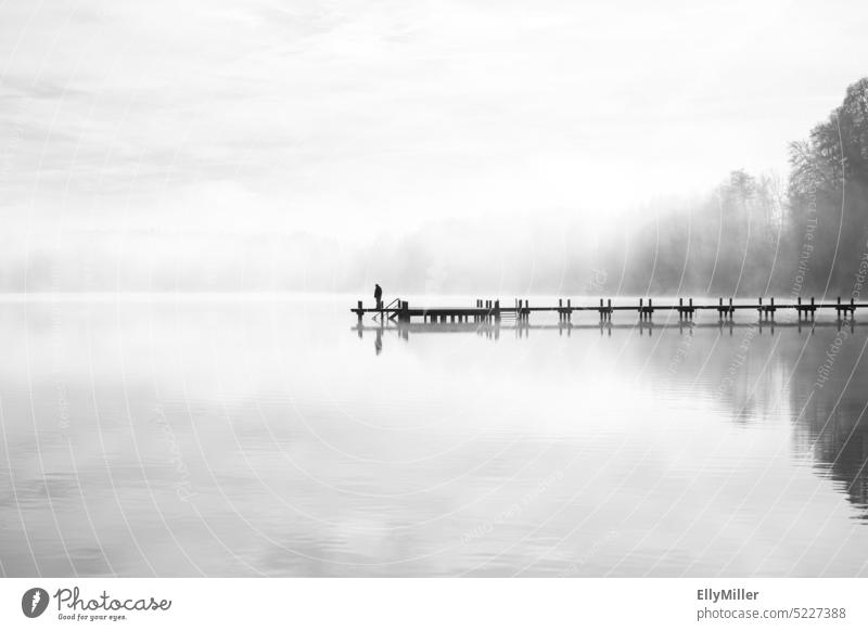 Steg am See im Nebel. Neblige Landschaft am Morgen. Morgendämmerung ruhig Wasser Natur Seeufer Außenaufnahme Herbst Umwelt Stimmung Idylle Licht