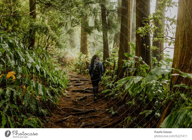 Rückansicht Frau geht im Wald Rücken Farbfoto Wanderung Wanderer wandern reisen Reisefotografie Tourismus Reiseziel reisend Wanderausflug Außenaufnahme Natur