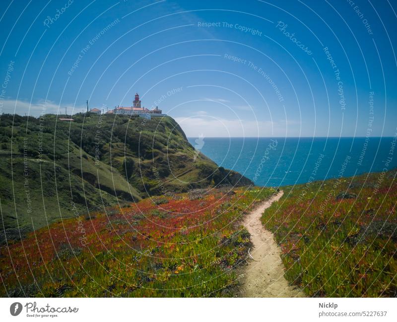 Leuchtturm am Cabo da Roca an der Atlantikküste, Portugal, UNESCO-Welterbestätte (westlichster Punkt Europas) unesco UNESCO-Weltkulturerbe Küste Mittagsblumen