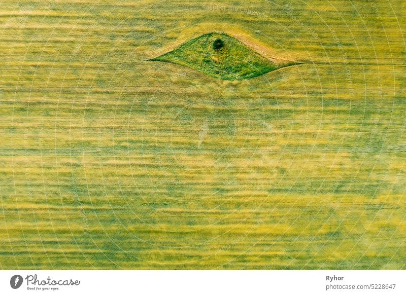 Luftaufnahme von kleinen grünen natürlichen Insel mit grünem Gras im Frühjahr Feld, Sommer Wiese. Schöne grüne Gras ländliche Landschaft in der Vogelperspektive