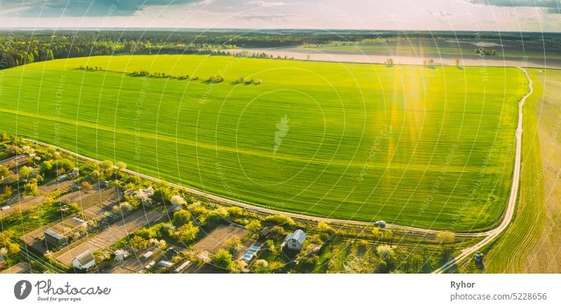 Ländliche Landschaft mit kleinem Dorf, Gärten und grünem Feld im Frühling-Sommer-Tag. Erhöhte Ansicht. Panorama Antenne Luftaufnahme landwirtschaftlich Ackerbau