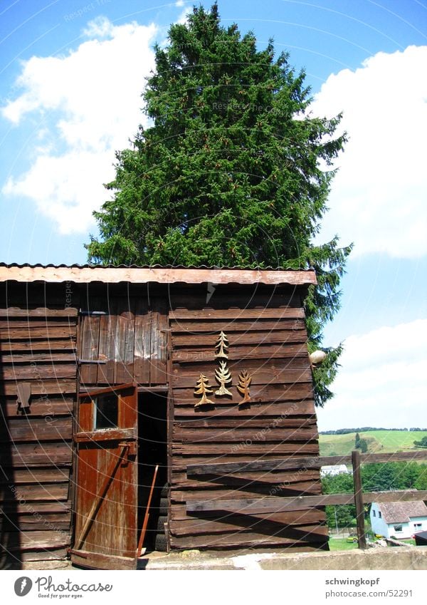 Eifel Schuppen Holz Baum Wolken Hütte Tür grün braun Stillleben Zaun Haus Leuchter Himmel Sonne offen blau Kitsch Weide Natur Lagerschuppen Holzbrett Holzwand