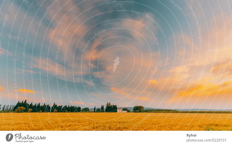 Katalonien, Spanien. Sommerabend Himmel über spanische Landschaft ländliche Weizenfeld Landschaft. Gelber Weizen bei Sonnenuntergang Natur Dorf Schonung niemand