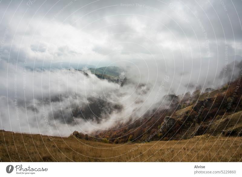 2022 10 23 Durlo mehrfarbige Täler 13 Landschaft Nebel Laubwerk Alpen Natur Berge u. Gebirge Wald Morgen Hügel reisen malerisch schön Baum Ansicht Herbst grün