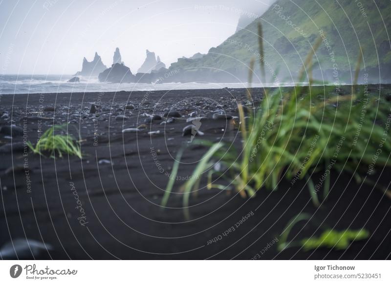 Schwarzer Strand in Vik mit den berühmten Reynisdrangar-Felsformationen und dem Berg Reynisfjall im stürmischen Meer. Südisland Island Felsen reynisfjall