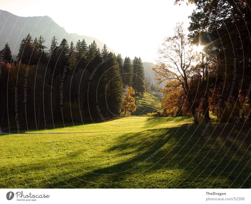 Sonnendurchflutet Baum Wald grün Herbst Hügel Sonnenlicht Physik angenehm Blatt mehrfarbig Wiese saftig Rasen Tempel weiß ruhig Außenaufnahme Holzmehl Himmel