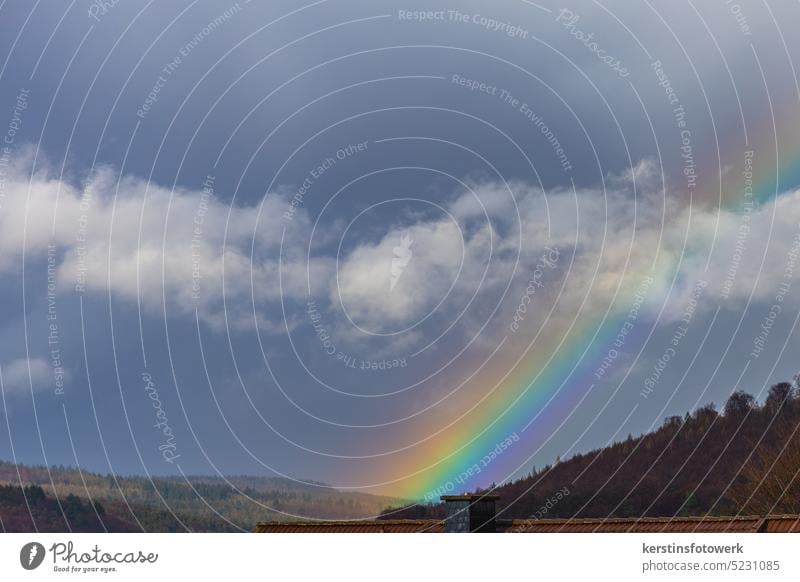 Regenbogen mit Wolken Farbe mehrfarbig regenbogenfarben Licht Spektralfarbe Lichtbrechung spektral blau gelb rot grün Wald Landschaft Farbfoto Schornstein