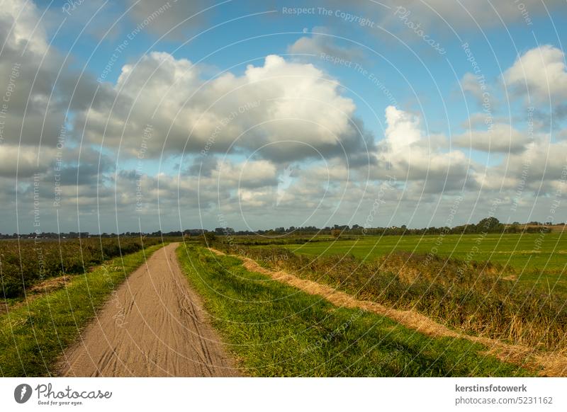 Weg durch Graslandschaft mit Wolken Natur Landschaft grün unbefestigter Weg ländlich Himmel im Freien Wiese blau Feld bewölkt bewölkter himmel Sonnenlicht