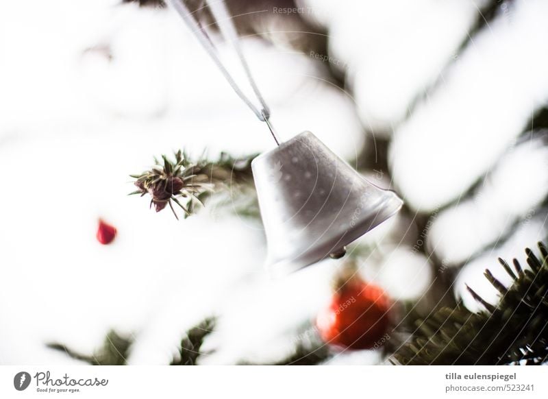 Süßer die Glocken... Dekoration & Verzierung Kugel Schnur Bewegung kalt Weihnachtsbaum Weihnachtsdekoration Nadelbaum Weihnachten & Advent Gedeckte Farben