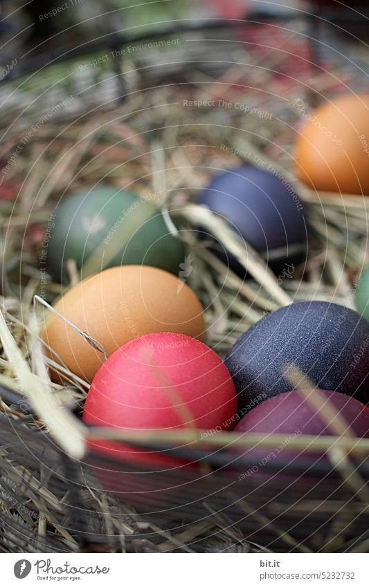 kunterbunt I bunt gefärbte Ostereier mit Stroh,  im Osternest ostereier bunt gemischt farbig Nest Heu Osterhase Dekoration & Verzierung Tradition Feste & Feiern