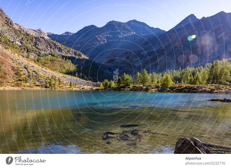 Bergsee Alpen See Landschaft Wasser Berge u. Gebirge Natur Ferien & Urlaub & Reisen Seeufer Außenaufnahme Reflexion & Spiegelung Tourismus Erholung wandern