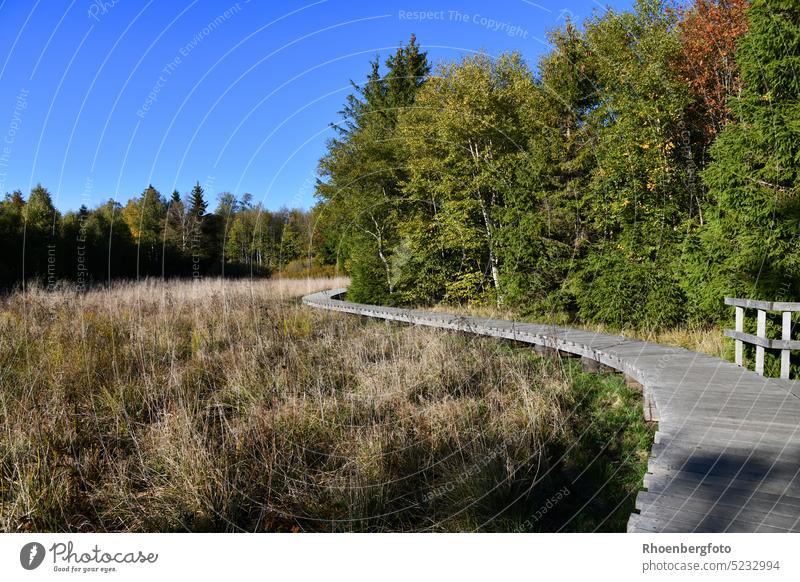 Das Schwarze Moor zählt zu den schönsten Geotopen Bayerns moor schwarze moor bayern unesco biosphärenreservat rhön dreiländereck bohlen bohlenpfad laufen