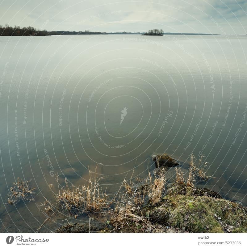 Vogelinsel See Seeufer Stausee Totale Tag Gedeckte Farben Insel Ferne Idylle Fernweh Sehnsucht Panorama (Aussicht) Stein ruhig Gelassenheit Unendlichkeit groß