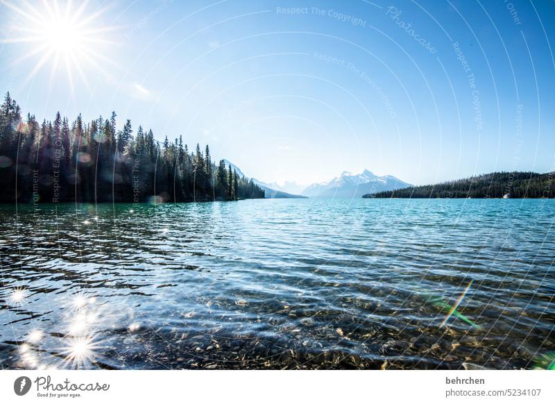 kanada Maligne Lake Rocky Mountains See Fernweh Ferien & Urlaub & Reisen Wald Ferne Kanada Abenteuer Natur Landschaft Nordamerika Himmel Alberta Wasser Seeufer