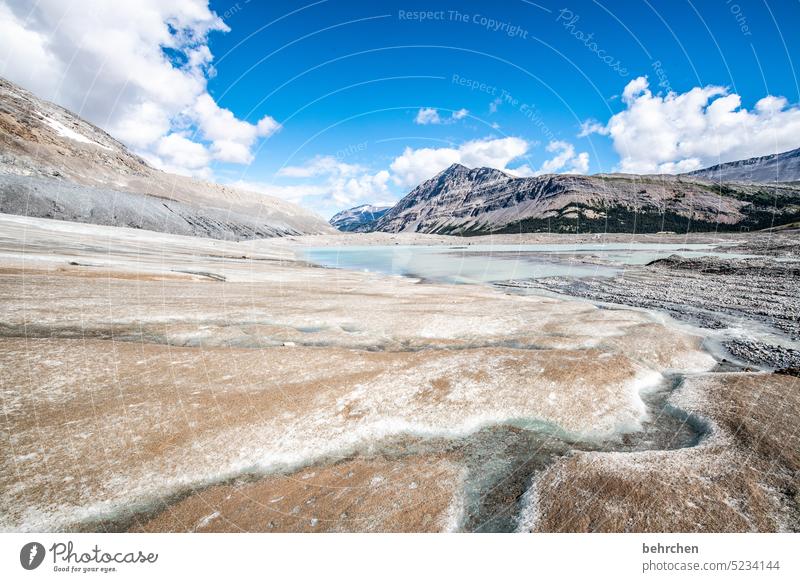 schmelzwasser Wasser Icefields Parkway Felsen Ferne Fernweh Alberta fantastisch besonders Tourismus Ferien & Urlaub & Reisen Außenaufnahme Natur Rocky Mountains