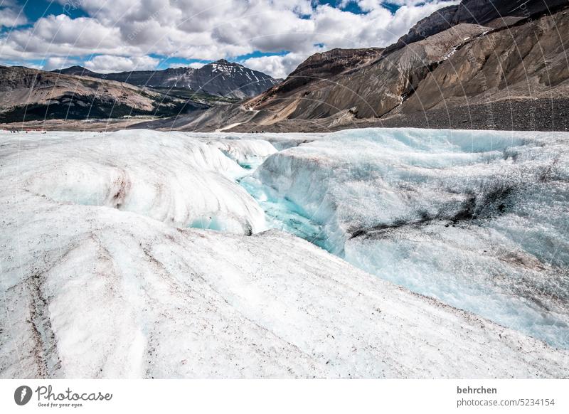 schaun wir mal, was wird | wenn die gletscher nicht mehr da sind Wasser Icefields Parkway Felsen Ferne Fernweh Alberta fantastisch besonders Tourismus