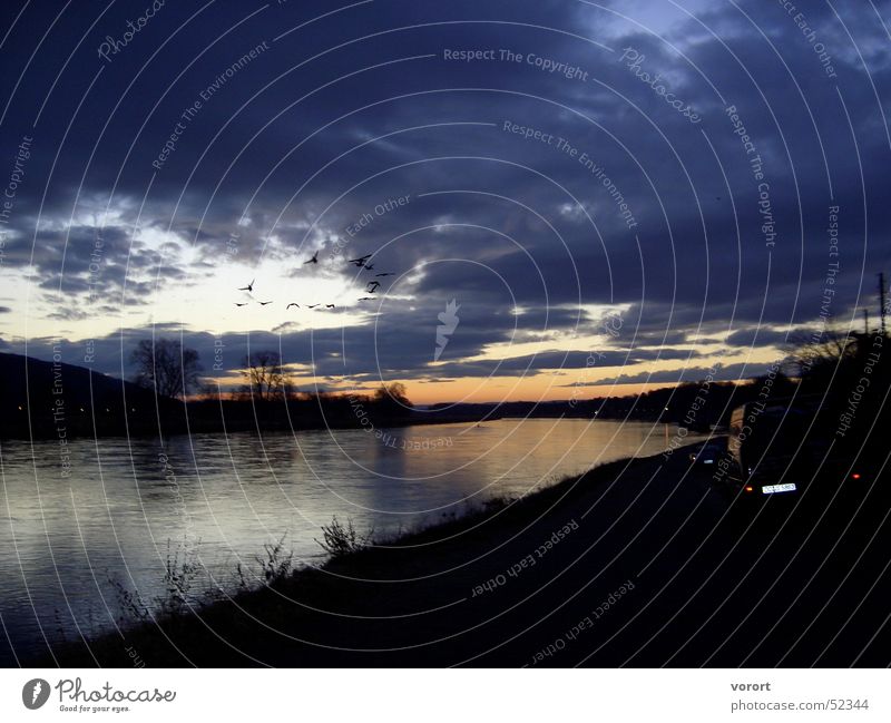 Meine geliebte Elbe Dämmerung Sonnenuntergang Dresden Wolken Himmel dunkel Reflexion & Spiegelung Vogel Vogelschwarm Fluss river Wasser water twilight sundown