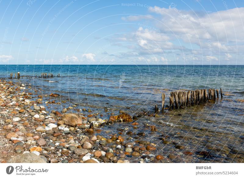 Kiesstrand mit Holzpfosten im blauen Wasser unter einem blauen, wolkigen Himmel Strand Stein Meer Meeresufer Ozean See Ufer Uferlinie Küste Wellen Wolken Steg