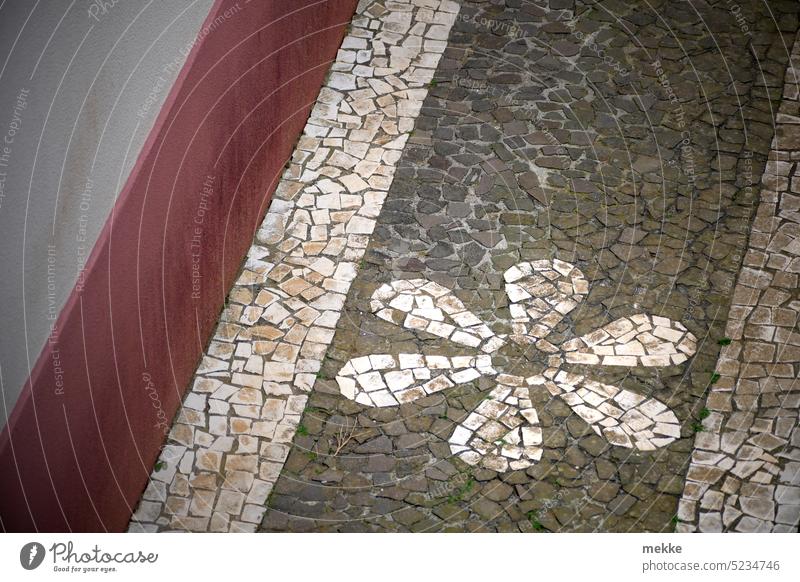 communis flos lapis Blume Blüte Blütenblatt Frühling Blühend Symbol Gehweg Steine Pflaster Pflastersteine Weg weiß Mosaik verzierung Bild Zeichen