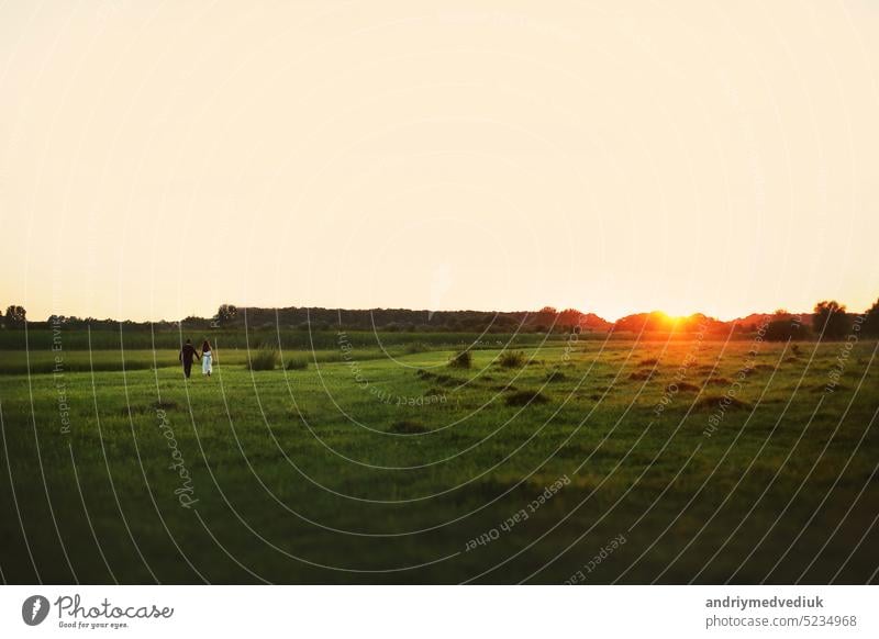 Junges verliebtes Paar spaziert händchenhaltend auf einer grünen Wiese im Sommer bei Sonnenuntergang. Foto aus der Ferne. Menschen Feld Mädchen Liebe Natur