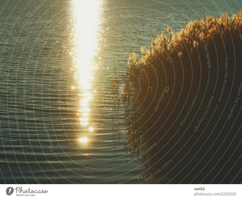 Solarbetrieben Landschaft Wasser Spiegelung Licht Sonnenlicht friedlich ruhend geheimnisvoll Weite windstill glänzen glitzern draußen funkeln beruhigend