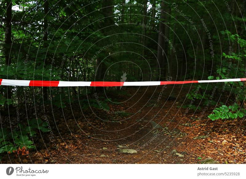 Ein Absperrband bei einem Tatort oder Gefahrenstelle im Wald absperrband Absperrung Sicherheit rot-weiß Schutz Flatterband Barriere gesperrt sperre polizei