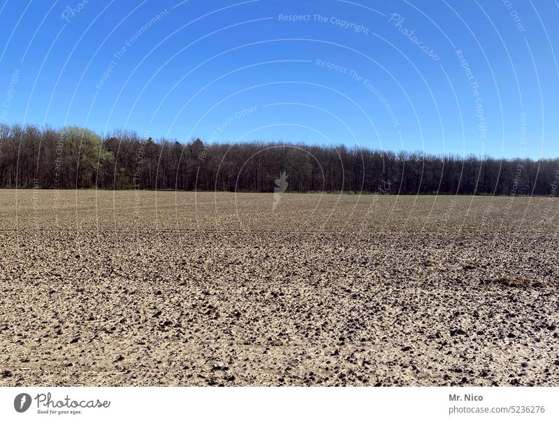 in Wald und Flur Feld Landwirtschaft Ackerbau Himmel Umwelt wald und flur Feld und Wald Grund und Boden Agrarwissenschaft Bodenaufbereitung ländlich