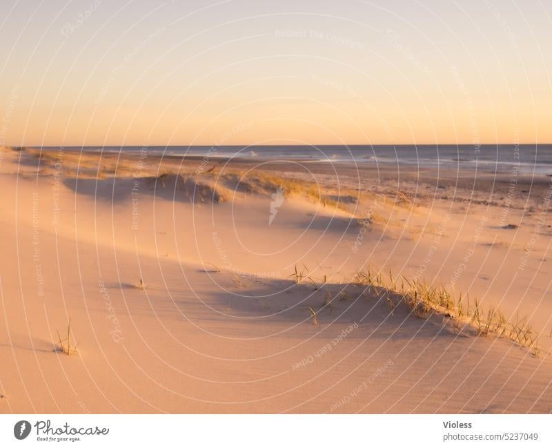 Strand und Dünen in DK Dänemark Reise Urlaub Sand Sonnenuntergang Erholung Entspannung menschenleer Nordseeküste Fjord Landschaft Hvide Sande Jütlands