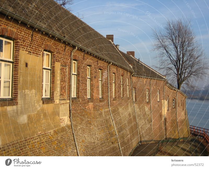 Klinker im Sonnenlicht Backstein Haus alt Baum ohne Blatt Maas See Meer Niederlande rot braun Freundlichkeit Herbst Winter Altbau Wasser Fluss Abwasserkanal