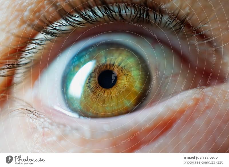 brauner Mann Auge, Körperteil Fotografie braunes Auge Menschenauge Wimpern Farbe braune Farbe Blick Pupille Hornhaut Regenbogenhaut Sehvermögen Ansicht sehen