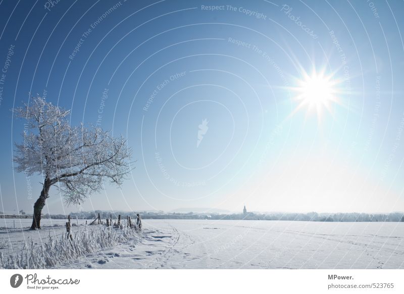 heiß&kalt Umwelt Horizont Ferne Natur Landschaft Wasser Schönes Wetter Eis Frost Schnee hell Coolness Schneelandschaft Baum gefroren Wolkenloser Himmel blau