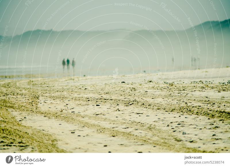 Dunst am Ocean Beach Küste Landschaft Ferien & Urlaub & Reisen Silhouette Sand Wege & Pfade Erholung Reifenspuren Himmel Spaziergänger Tasmanien Natur Hügel