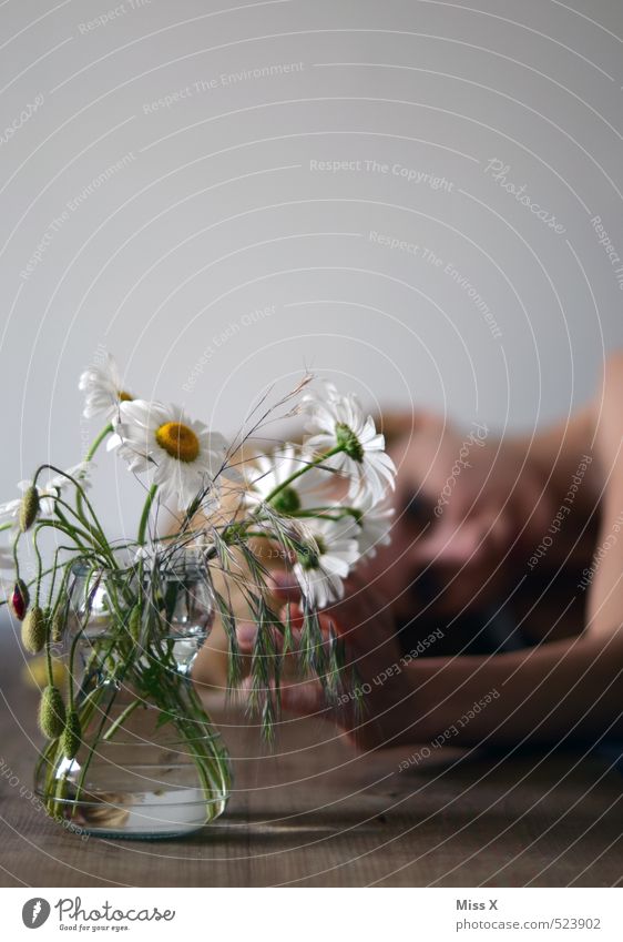 der Sommer ist vorbei Dekoration & Verzierung Tisch Mensch feminin Frau Erwachsene Leben 1 18-30 Jahre Jugendliche Blume Blüte Blühend liegen träumen