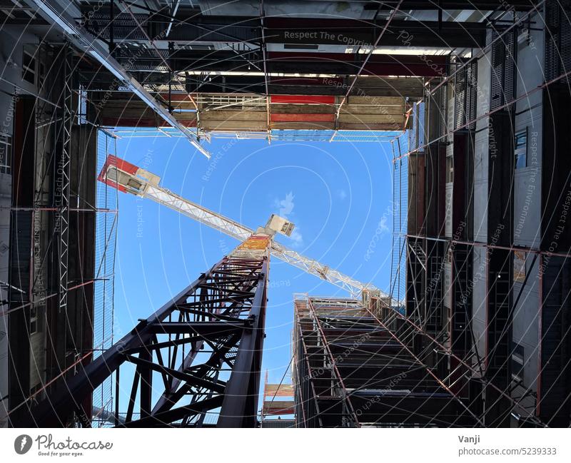 Kran ohne Wolken Krahn Baustelle Himmel blau Außenaufnahme Industrie Menschenleer Farbfoto Tag Gerüst bauen hoch Baukran Bauwerk