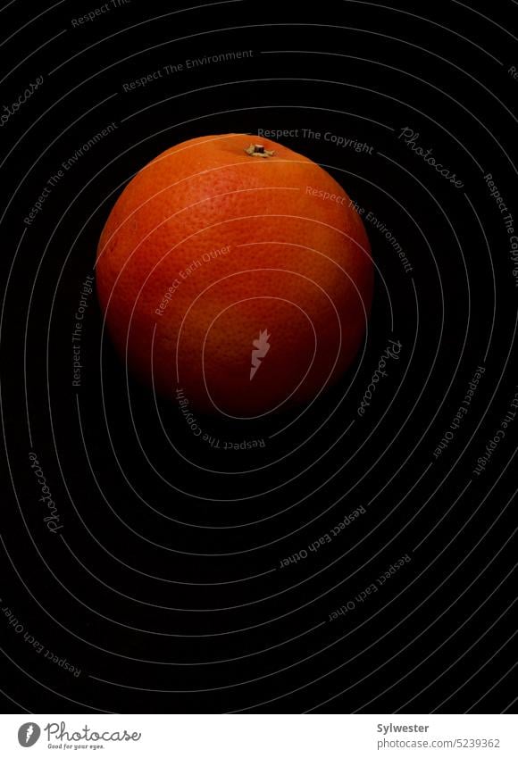 orange auf schwarzem Hintergrund Orangenhaut saftig Frucht Spanien frisch Sommer Cocktail Orangenernte Obstbau geerntet Spanische Orange landwirtschaftlich