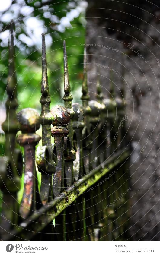 Spitze Garten alt Zaun Metallzaun Schmiedeeisen Zacken Farbfoto Außenaufnahme Strukturen & Formen Menschenleer Morgen Morgendämmerung Licht Sonnenlicht