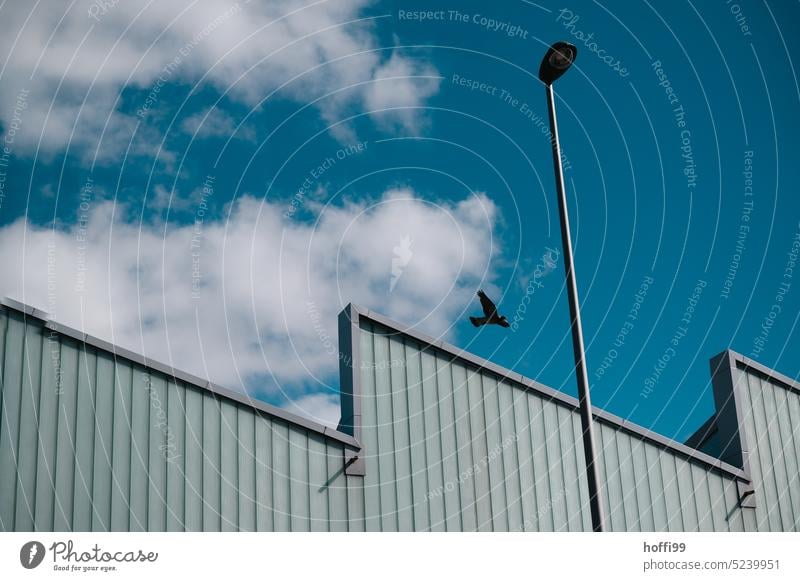 Stufenfassade mit Strassenlampe und Taube vor blauem Himmel mit Wölkchen Moderne Architektur Außenseite Gebäude Fassade ästhetisch urban Bauwerk minimalistisch