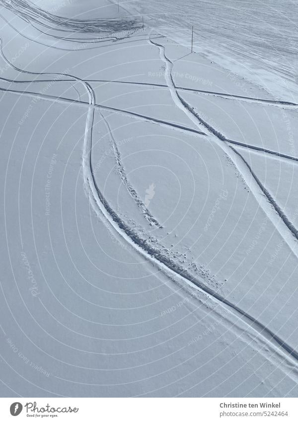 Skispuren im Schnee neben der Skipiste Skifahren abseits der Piste Wintersport Winterurlaub Ferien & Urlaub & Reisen Freizeit & Hobby verschneit Tiefschnee